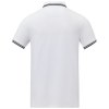 Polo tipping Amarago manches courtes homme