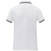 Polo Amarago tipping manches courtes femme