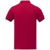 Polo Morgan manches courtes deux tons homme