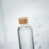 FRISIAN - Bouteille en verre 650ml