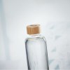 FRISIAN - Bouteille en verre 650ml