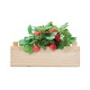 STRAWBERRY - Graines de fraises dans une cai