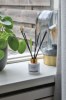 Diffuseur de parfum à bâtonnets Ukiyo