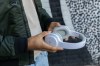 Casque sans fil Urban Vitamin Belmont