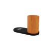 Chargeur 10W et plante dépolluante de bureau (Import)