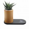 Chargeur 10W et plante dépolluante de bureau (Stock)