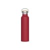 Bouteille Ashton 650ml