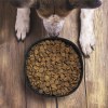 Bol Pliable - Poppy