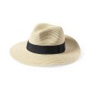 Chapeau - Teilor