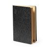 Cahier - Rayish