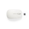 Souris - Estiky