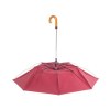 Parapluie - Branit
