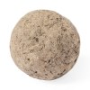 Bonbon Graines - Mussox