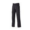 Pantalon EVERYDAY homme
