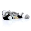 Peluche raton laveur pour chien