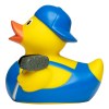 Canard