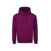 Sweat capuche 280