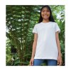 Tee-shirt col rond 160