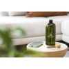 RPET Bottle 500 ml bouteille