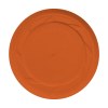 Recycled Plastic Frisbee Cool Model