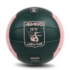 Ballon de volley-ball
