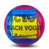 Ballon de volley-ball