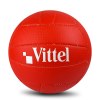 Ballon de volley-ball