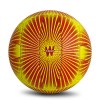 Ballon de volley-ball