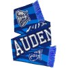 Echarpe de supporter