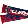 Echarpe de supporter