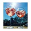 Verre Gin-Tonic en plastique, de la marque HappyGlass
