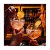 Verre Gin-Tonic en plastique, de la marque HappyGlass