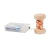 FAIRY - Guirlande lumineuse LED 5m