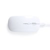 Souris - Chestir RCS