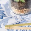 Terrarium - Anymak