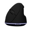 souris ergonomique sans fil (Stock)