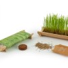 KIT DE PLANTATION JARDINIÈRE EN BAMBOU