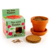 Kit terre cuite - radis bio