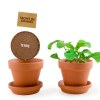 Kit terre cuite - radis bio