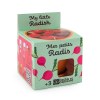 Kit terre cuite - radis bio