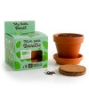 Kit terre cuite - basilic bio