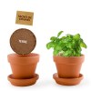 Kit terre cuite - basilic bio