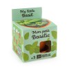 Kit terre cuite - basilic bio