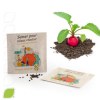 SACHET DE GRAINES FIBRE DE TOMATE 55 x 55 MM