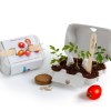 KIT BOITE ŒUFS AVEC GRAINES À SEMER