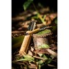 FUJI. Stylo bille en bambou et métal avec étui