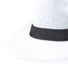 Ruban Chapeau - Hicoband