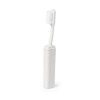 Brosse à Dents - Duncan
