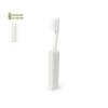 Brosse à Dents - Duncan