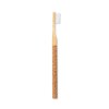 Brosse à Dents - Piglet